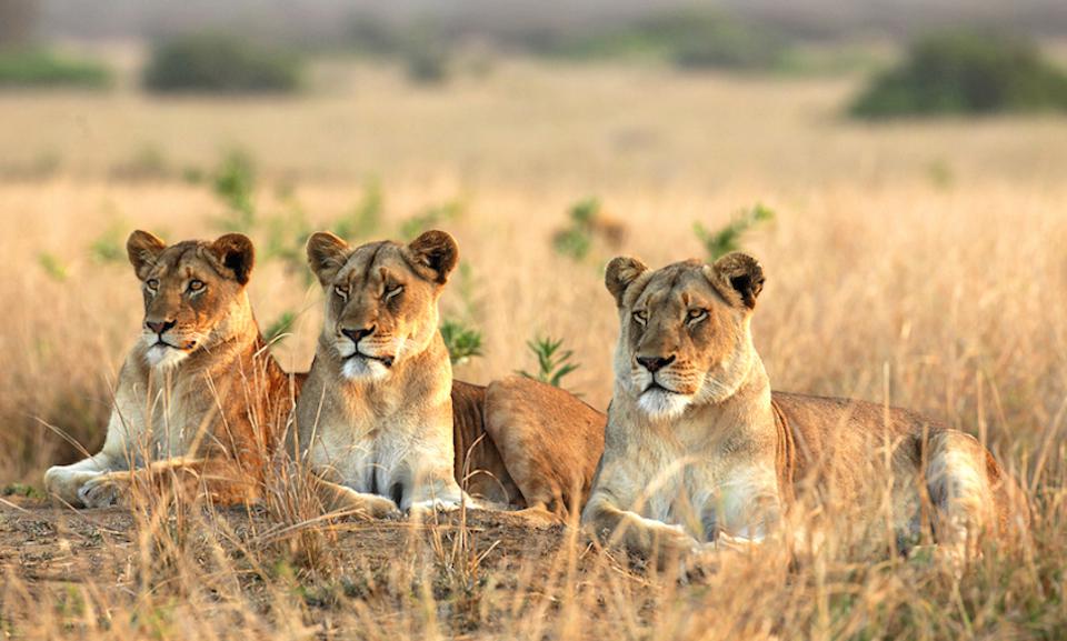 SOUTH AFRICA