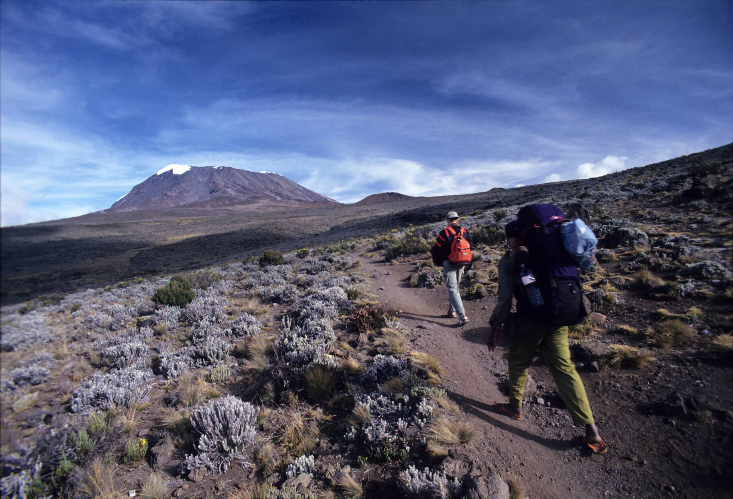 KILIMANJARO MARANGU ROUTE TREKKING