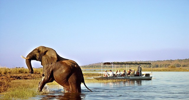 ZAMBIA