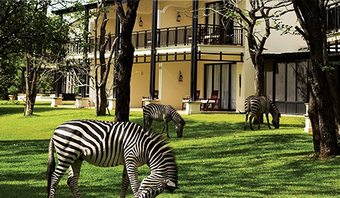 ACCOMMODATIONS IN ZAMBIA
