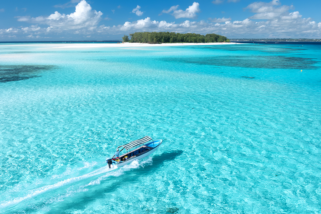 ZANZIBAR TOUR TO MNEMBA ISLAND &nbsp;  